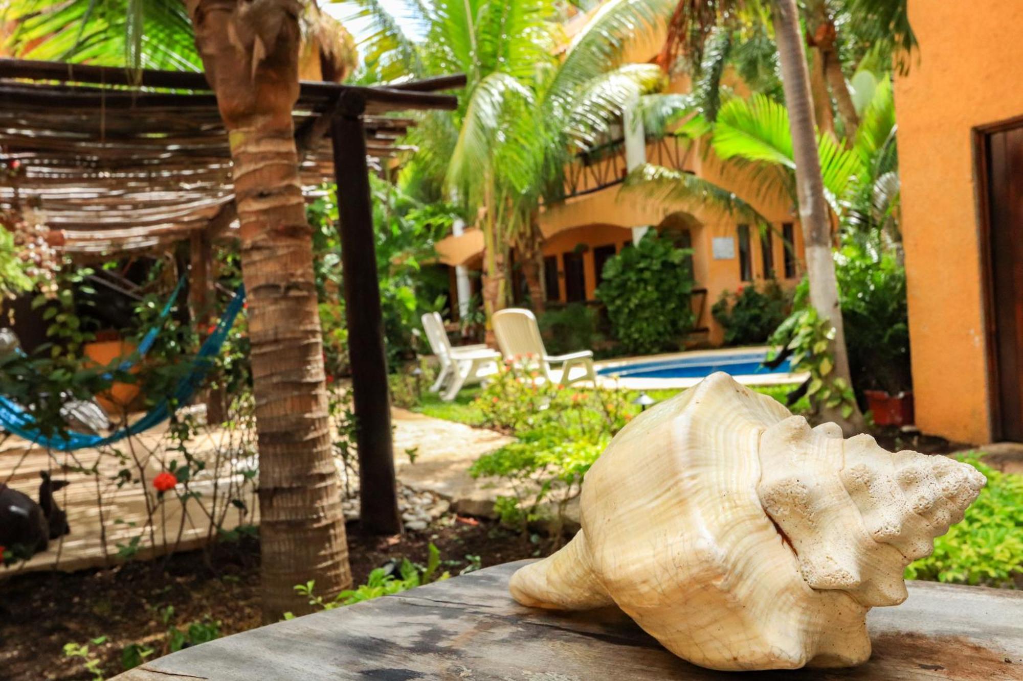 Hotel Bosque Caribe, 5Th Av. Zone Playa del Carmen Exterior foto