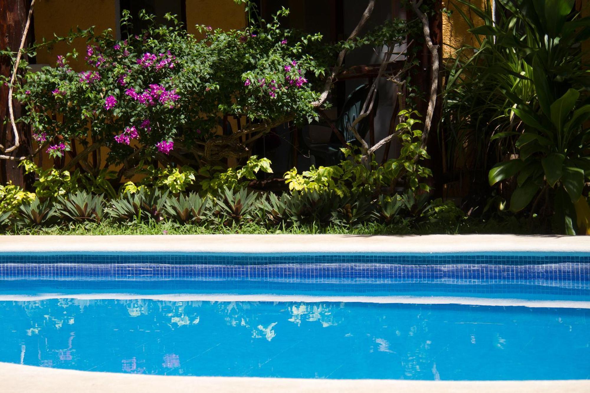 Hotel Bosque Caribe, 5Th Av. Zone Playa del Carmen Exterior foto