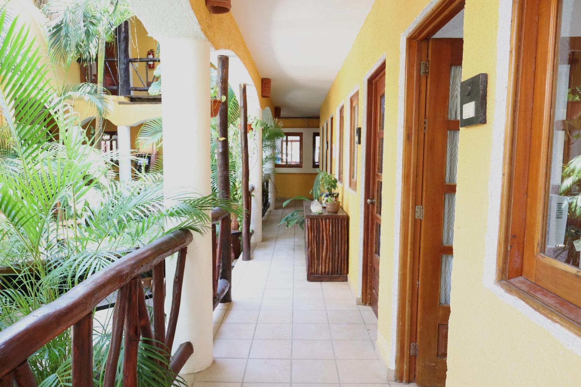 Hotel Bosque Caribe, 5Th Av. Zone Playa del Carmen Exterior foto