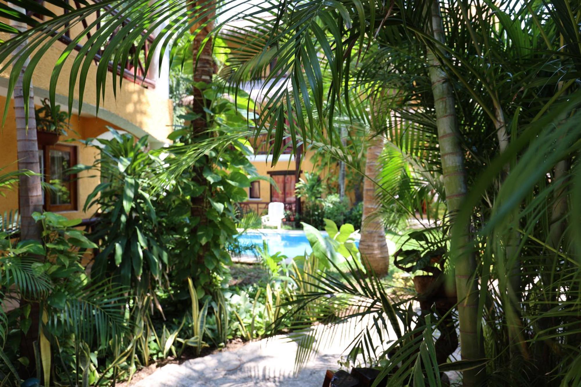 Hotel Bosque Caribe, 5Th Av. Zone Playa del Carmen Exterior foto