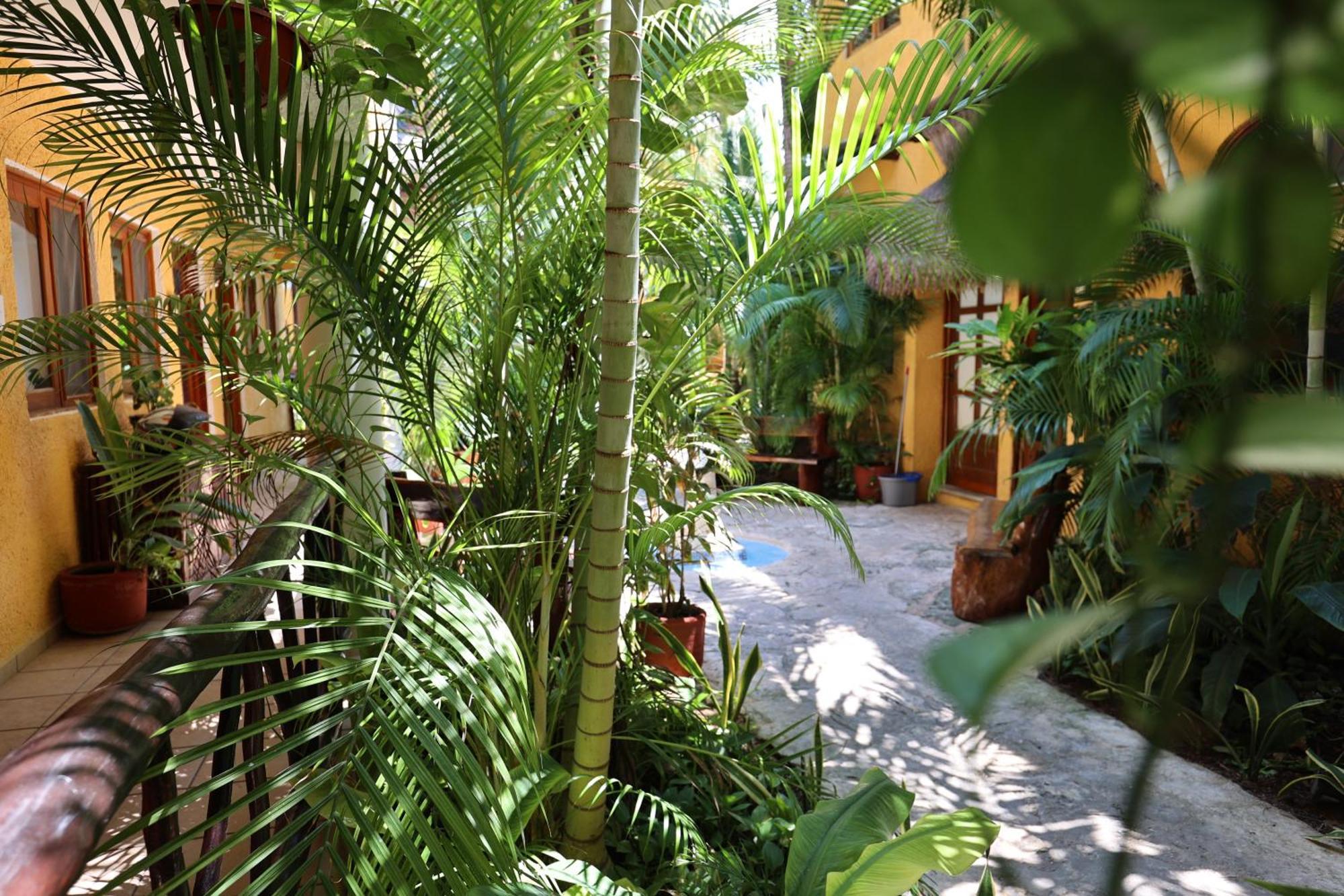 Hotel Bosque Caribe, 5Th Av. Zone Playa del Carmen Exterior foto
