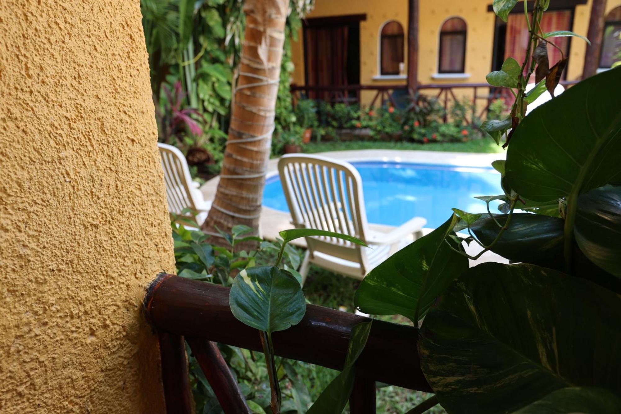 Hotel Bosque Caribe, 5Th Av. Zone Playa del Carmen Exterior foto