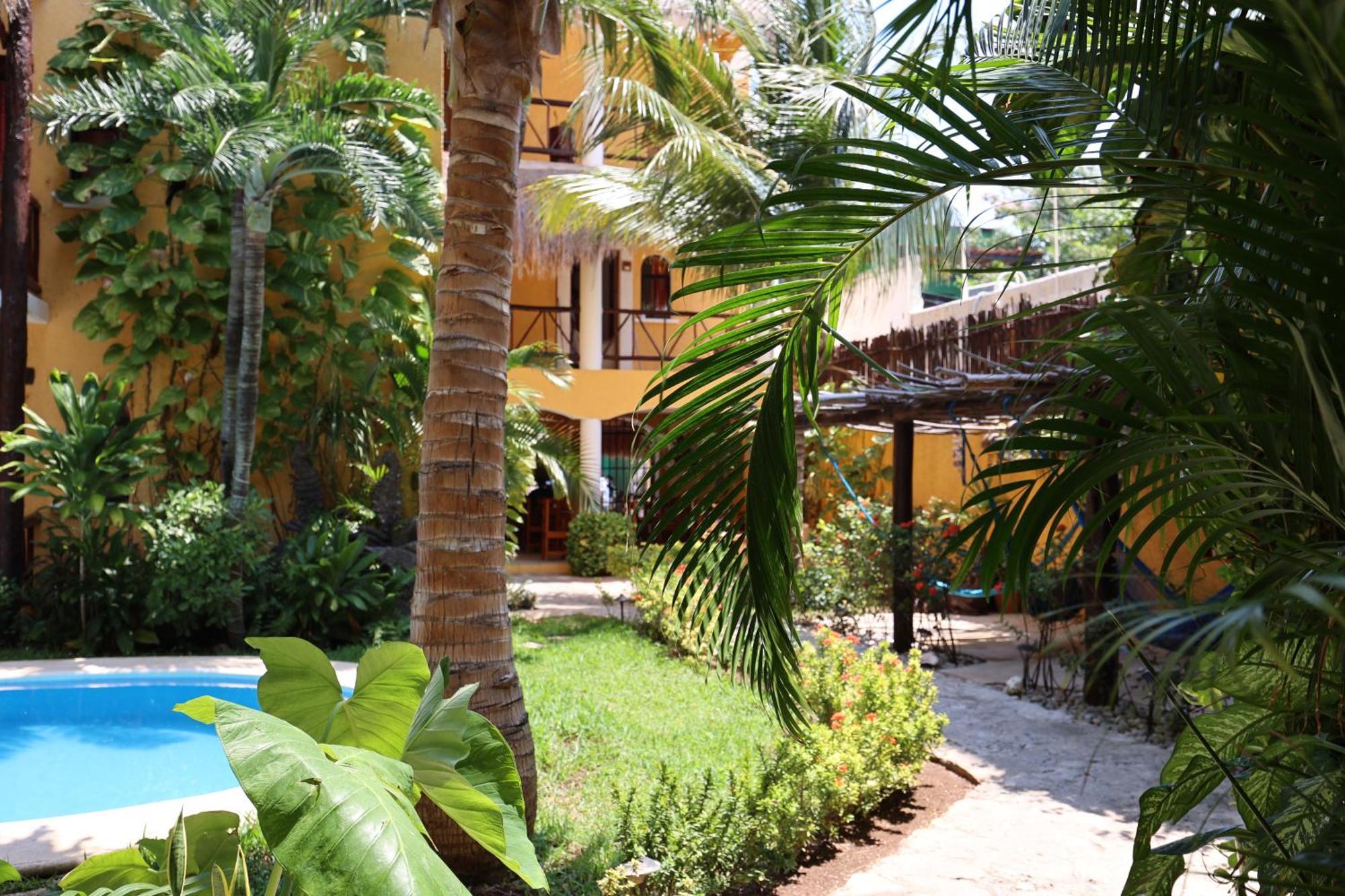 Hotel Bosque Caribe, 5Th Av. Zone Playa del Carmen Exterior foto