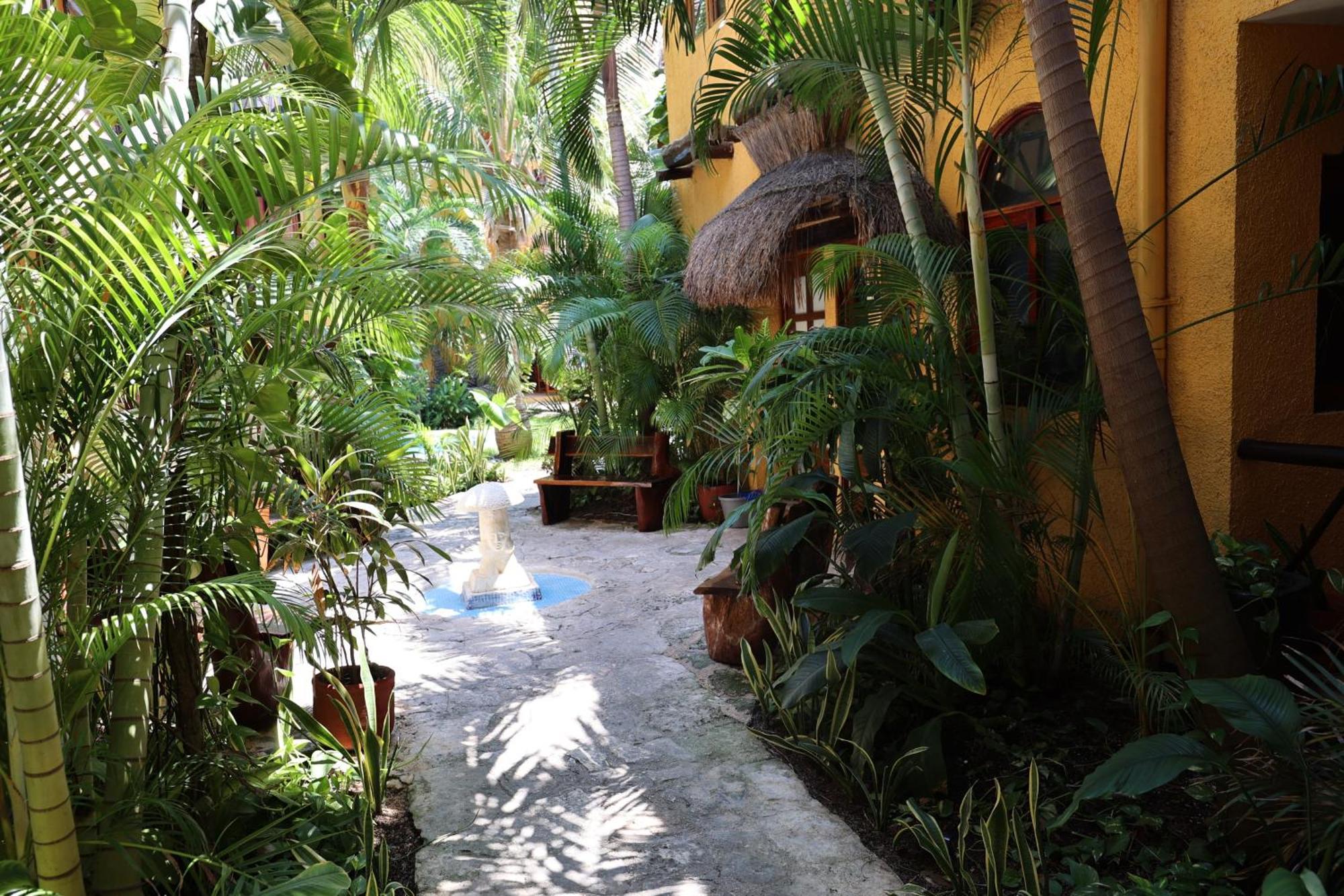 Hotel Bosque Caribe, 5Th Av. Zone Playa del Carmen Exterior foto